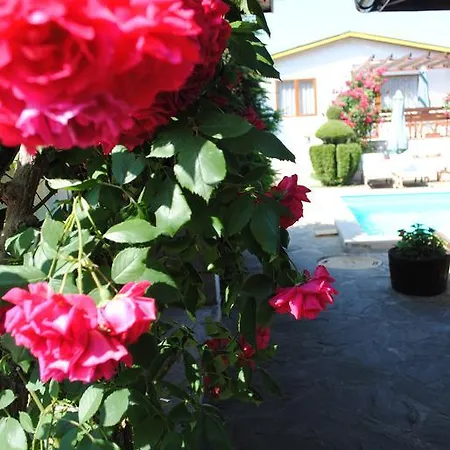 Villas Denitsa Holiday park Saints Constantine and Helena